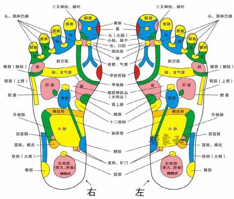 王孝理1.jpg 王孝理1.jpg