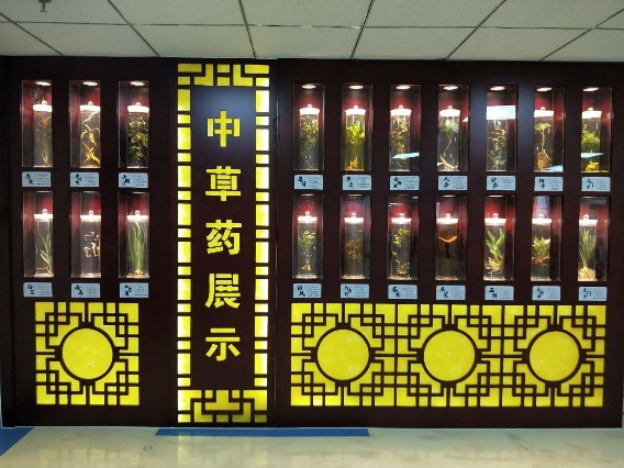 陈敏基层老中医传承工作室专家指导与学术交流会顺利召开.jpg