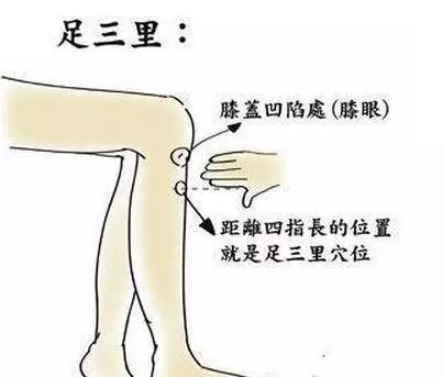 图片16.png 图片16.png
