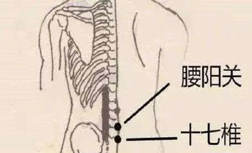 图片17.png 图片17.png