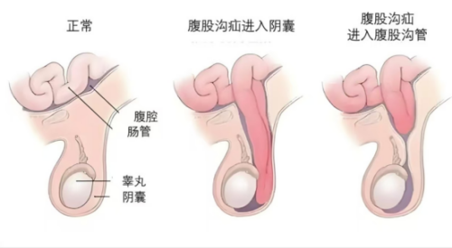 图片8.png 图片8.png