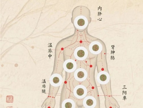 图片6.jpg 图片6.jpg