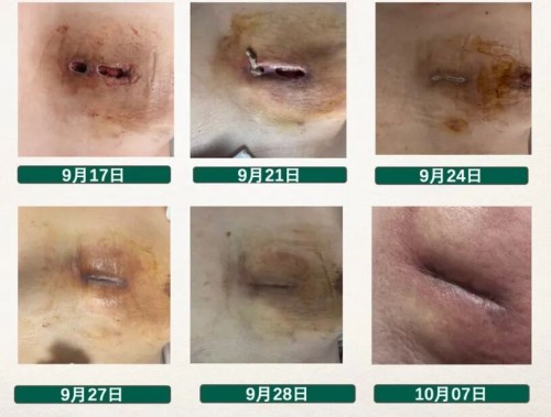 图片2.jpg 图片2.jpg