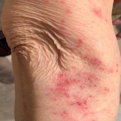 图片3.png 图片3.png