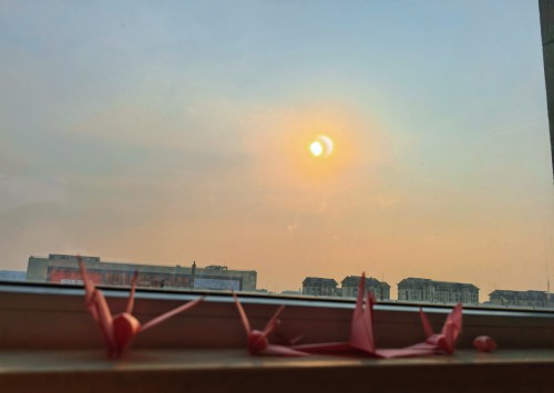 图片1.jpg 图片1.jpg