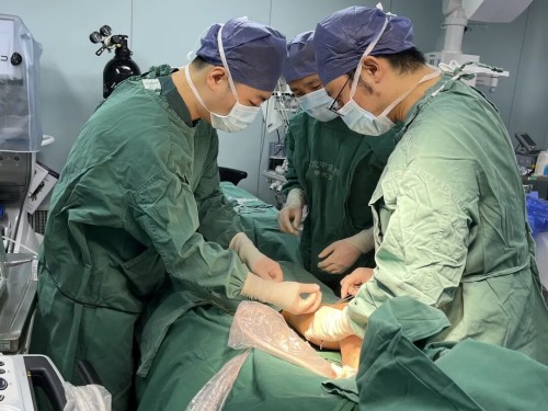 图片1.jpg 图片1.jpg