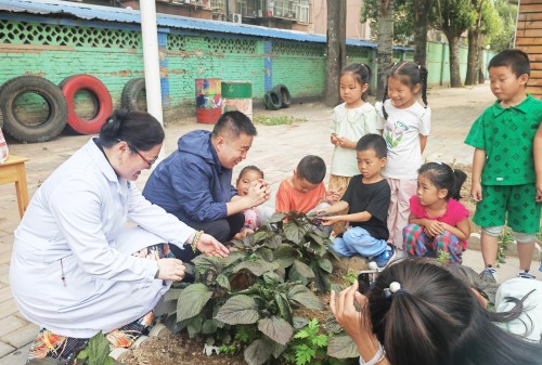 探索草药奥秘 开启中医药启蒙之旅-昌平区中医医院 (5).jpg