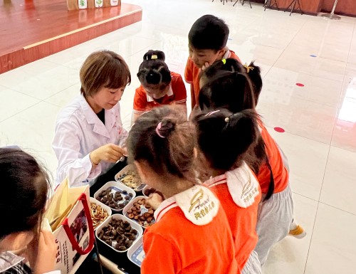 “昌香天使中医药文化青苗项目”在香河县人民医院天使幼儿园成功落地-昌平区中医医院 (3).jpg