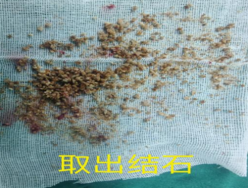 微信图片_20250303060210.png