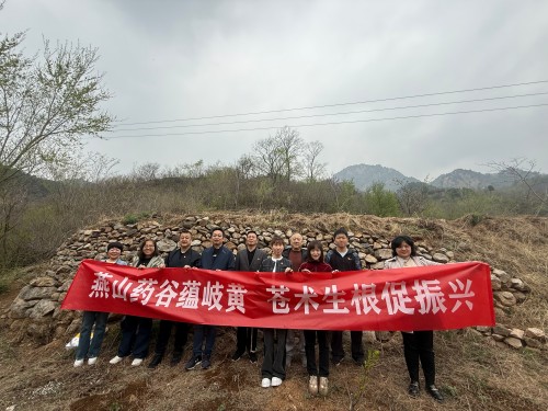 党建引领促振兴 中药材种植助力乡村发展-昌平区中医医院 (2).jpg
