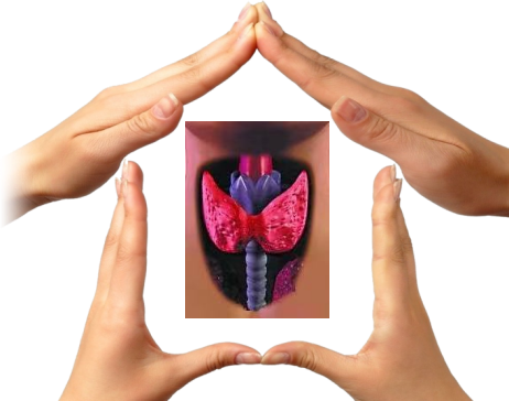 图片21.png 图片21.png