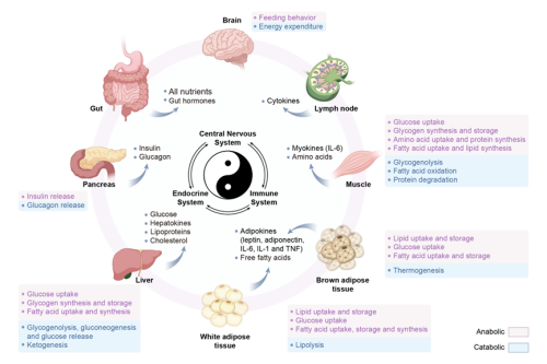 图片41.png 图片41.png