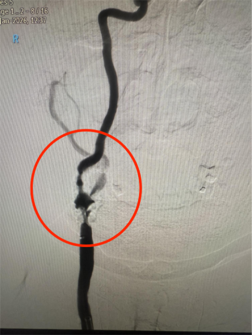 图片6.png 图片6.png