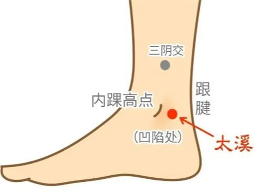 图片 5.png 图片 5.png