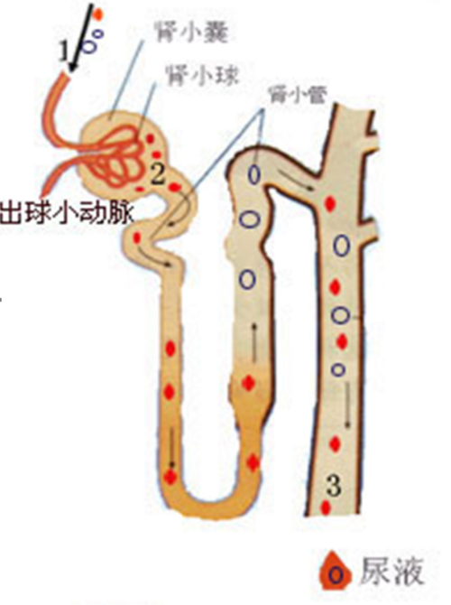 图片9.png 图片9.png