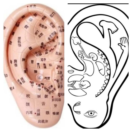 图片5.png 图片5.png