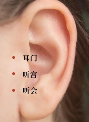 图片18.png