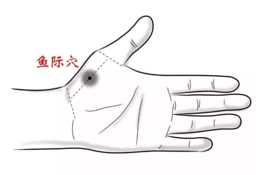 鱼际穴.png