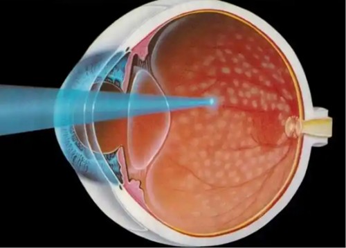 图片5.jpg 图片5.jpg