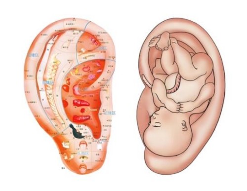 图片7.jpg 图片7.jpg