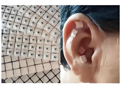 图片9.jpg 图片9.jpg