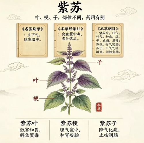 图片5.png 图片5.png
