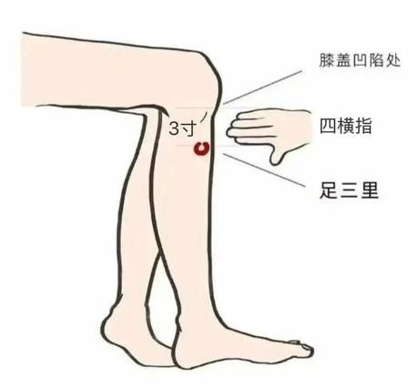 图片19.png