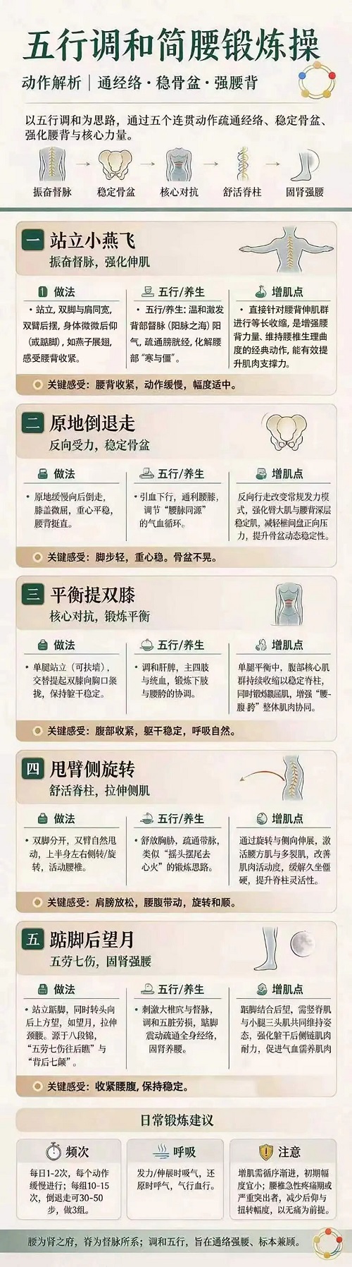 【今日科普】对抗肌少症|吃动两相宜,中医简腰操帮您强筋增肌护脊柱.jpg 【今日科普】对抗肌少症|吃动两相宜,中医简腰操帮您强筋增肌护脊柱.jpg