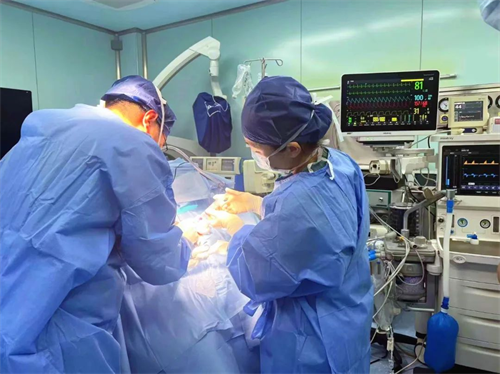 图片 1.png 图片 1.png