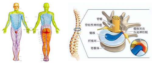 图片 2.png 图片 2.png
