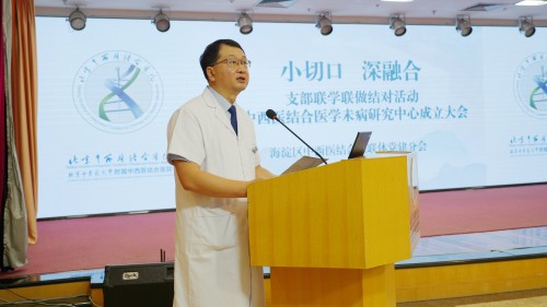 史飞.jpg