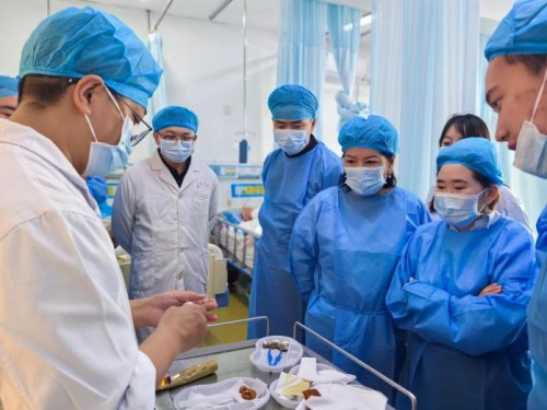 图片2.jpg 图片2.jpg