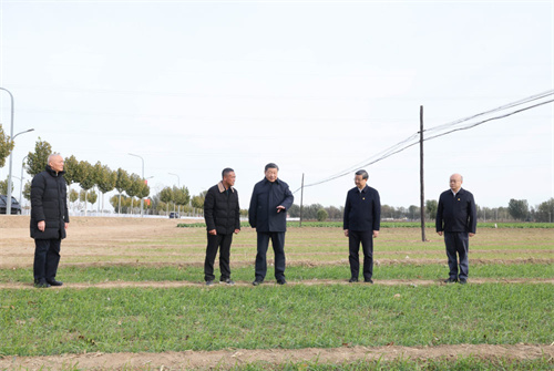 quality,Q_80 (19).jpg quality,Q_80 (19).jpg